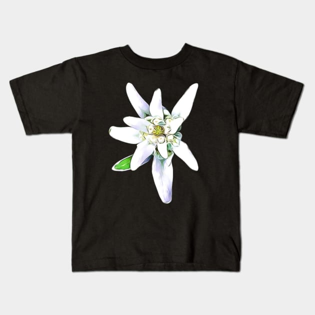 Edelweiss Alpine Flower Artistic Pattern Kids T-Shirt by BubbleMench